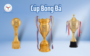 Cúp bóng đá - Quà Tặng Năm Châu