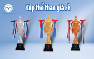 Cúp thể thao giá rẻ - Quà tặng năm châu