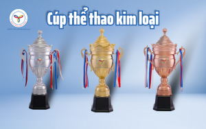 Cúp thể thao kim loại - Quà tặng năm châu