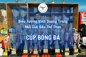 Biểu Tượng Vinh Quang Trong Mỗi Giải Đấu Bóng Đá - Quà Tặng Năm Châu