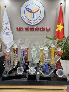 Kỷ niệm chương Pickleball - Quà Tặng Năm Châu
