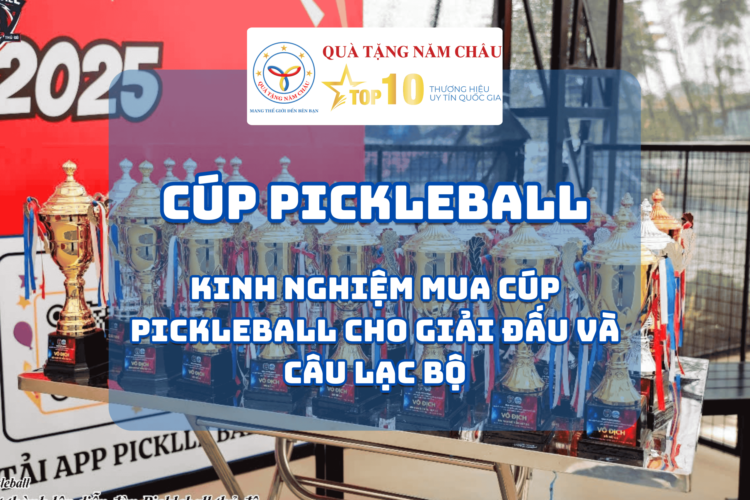 Kinh nghiệm mua cúp pickleball