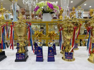 Một số sản phẩm Cúp vinh danh của Quà Tặng Năm Châu