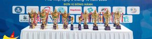 Một số sản phẩm Cúp Pickleball của Quà Tặng Năm Châu