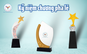 Một số sản phẩm cúp vinh danh pha lê của Quà Tặng Năm Châu