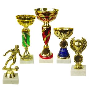 Ảnh minh họa một số mẫu cúp nhựa trên thị trường