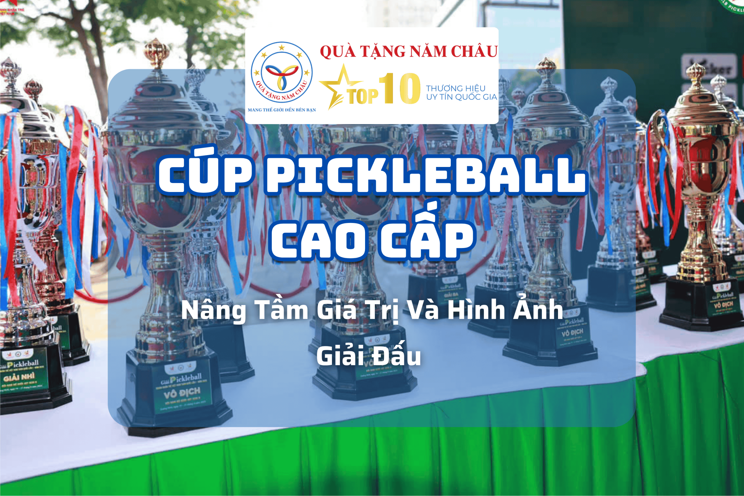 Cúp Pickleball Cao Cấp – Nâng Tầm Giá Trị Và Hình Ảnh Giải Đấu | Quà Tặng Năm Châu