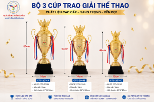 Ảnh mô tả