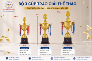 Ảnh mô tả